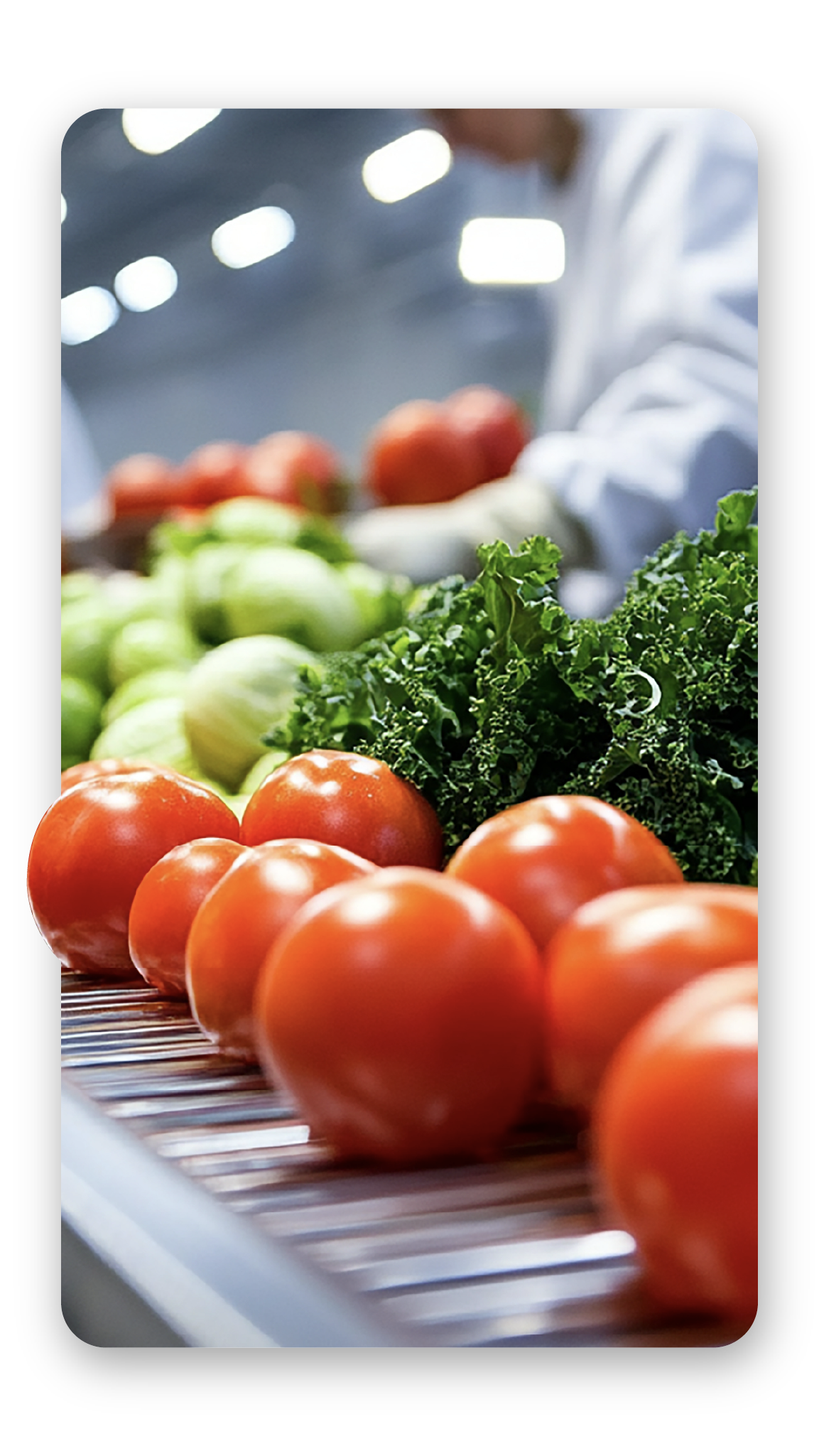 Images_1