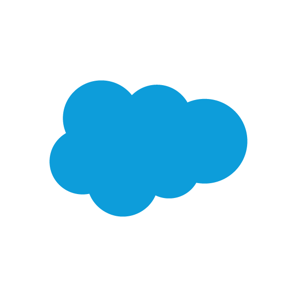 Salesforce Platinum Partn