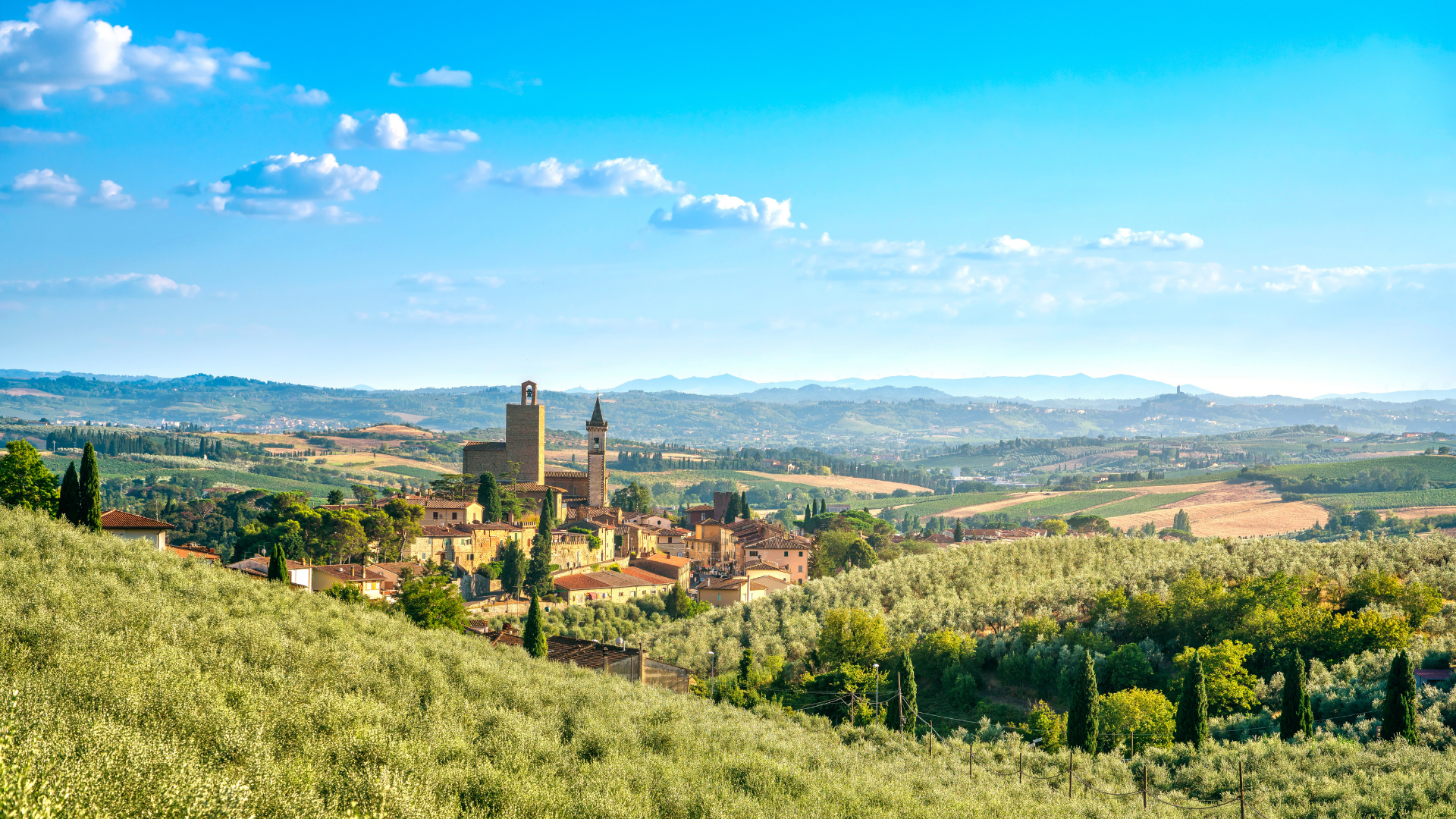 Case Study: Plures Alia